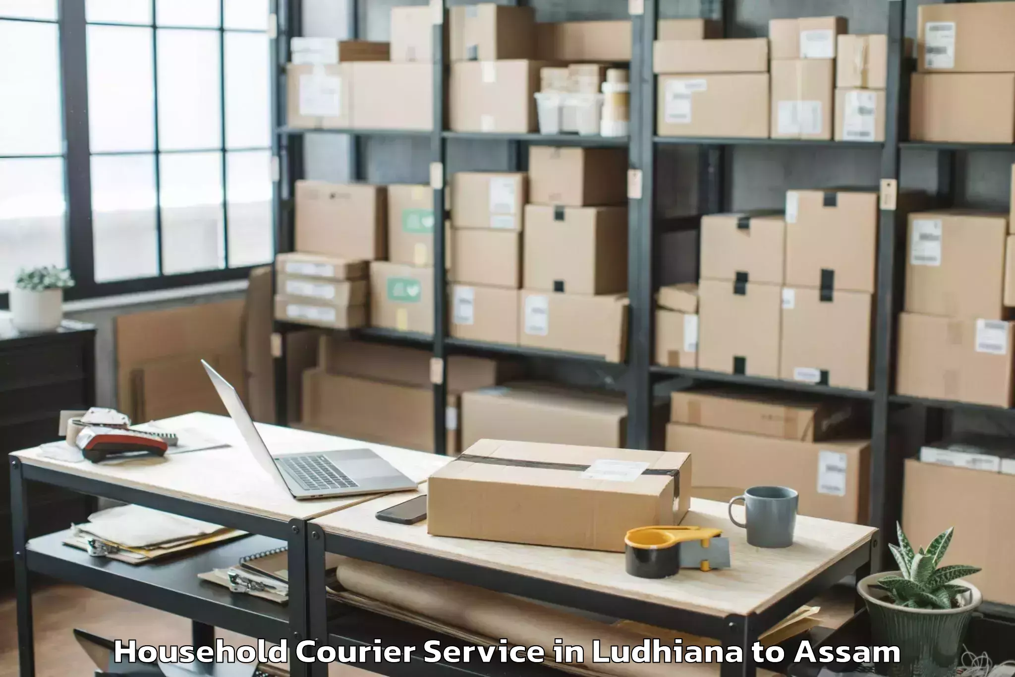 Book Ludhiana to Hailakandi Household Courier